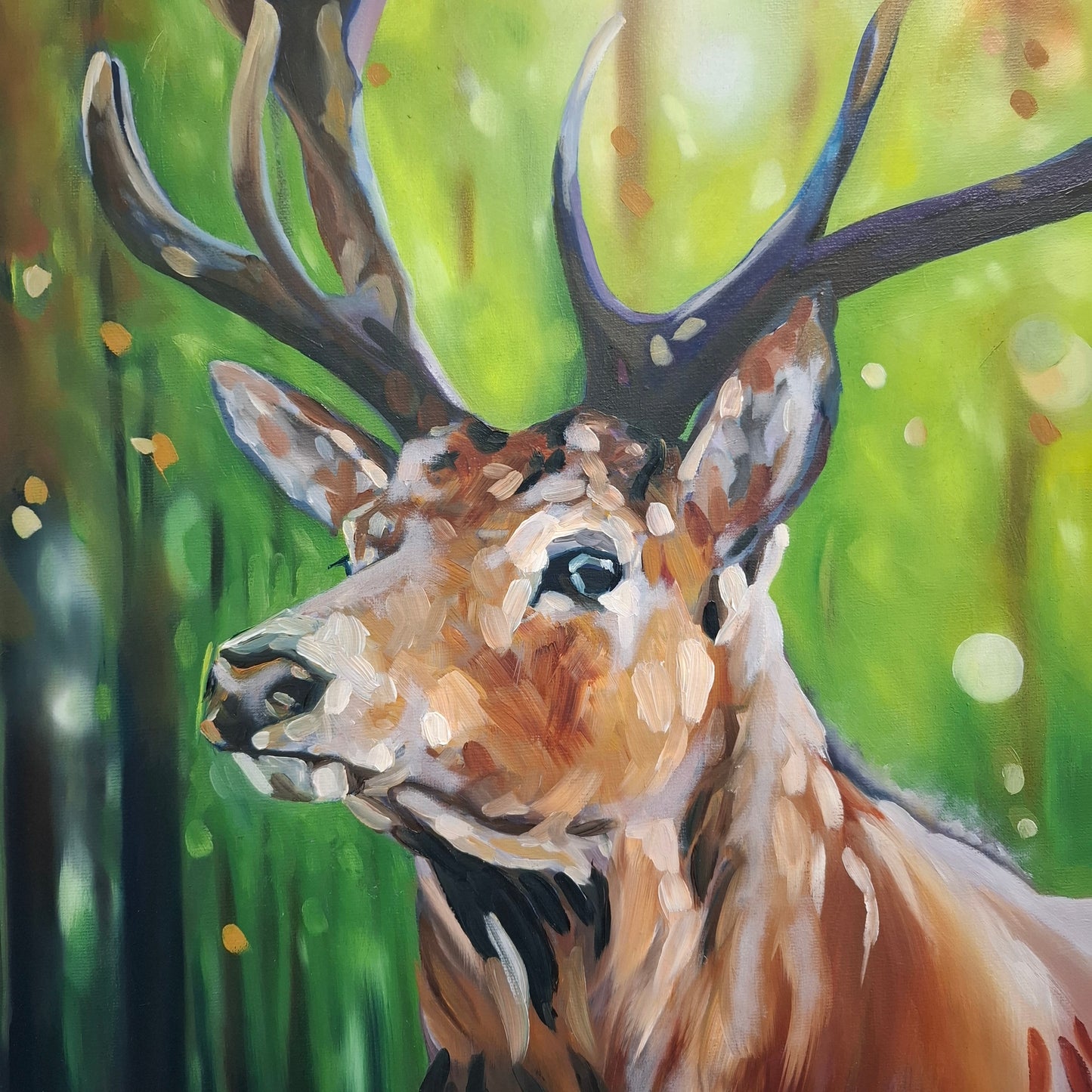 A Close Encounter- Original