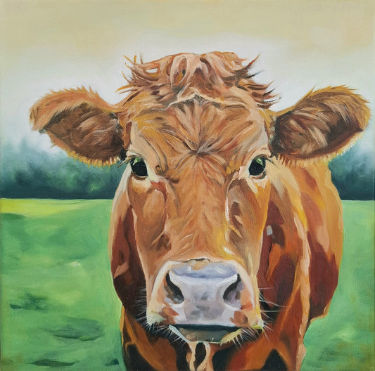Oil painting. Close up of red cow with curious eyes looking straight at camera. Trees out of focus in distance 