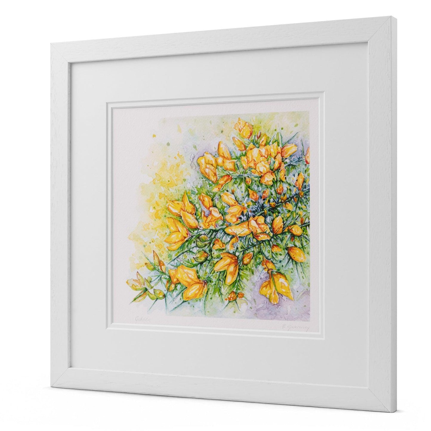 "Golden" Gorse Watercolour Print