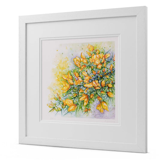 "Golden" Gorse Watercolour Print
