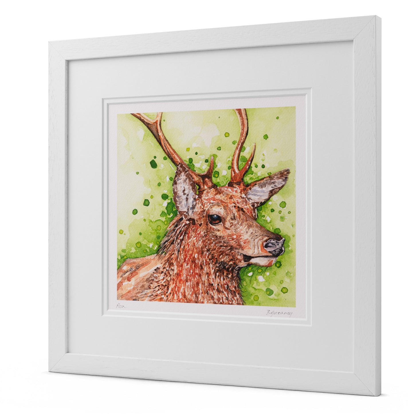 "Rua" Irish Stag Watercolour Print
