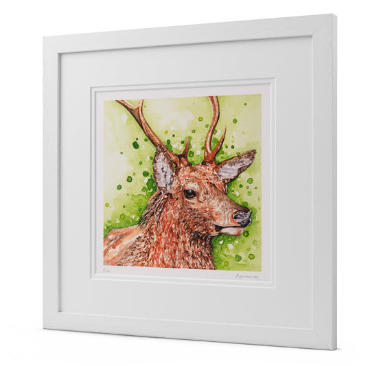 "Rua" Irish Stag Watercolour Print
